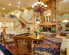 灰熊最新消息今天 灰熊最新消息今天